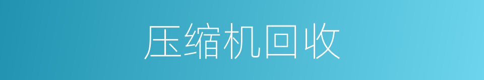 压缩机回收的同义词