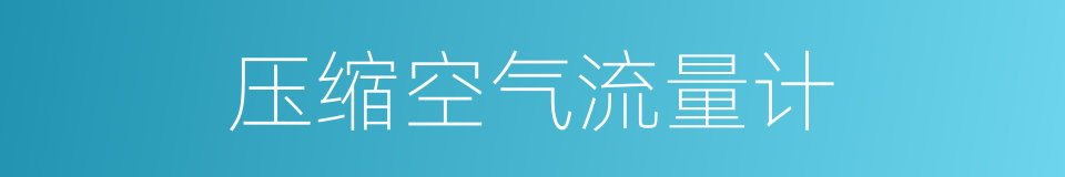 压缩空气流量计的同义词