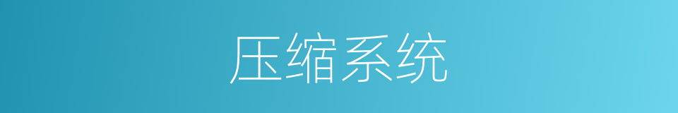 压缩系统的同义词