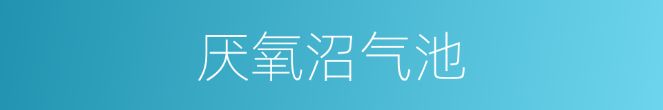 厌氧沼气池的同义词