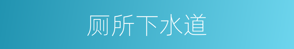 厕所下水道的同义词