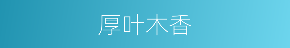 厚叶木香的同义词