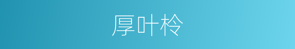 厚叶柃的同义词