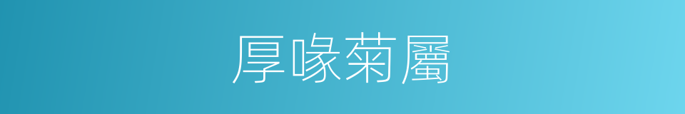 厚喙菊屬的同義詞