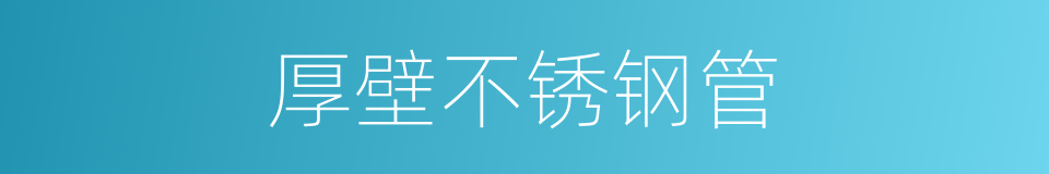 厚壁不锈钢管的同义词