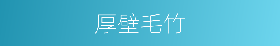 厚壁毛竹的同义词