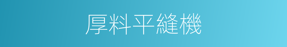 厚料平縫機的同義詞