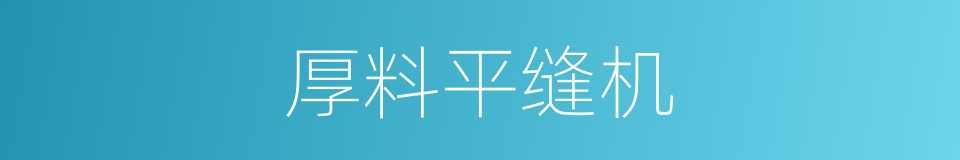 厚料平缝机的同义词
