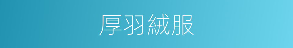 厚羽絨服的同義詞