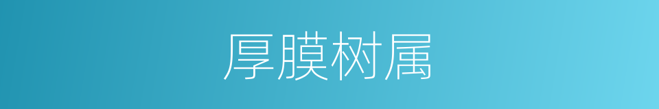 厚膜树属的同义词