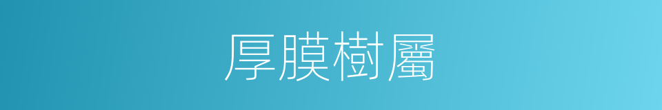 厚膜樹屬的同義詞