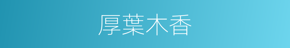 厚葉木香的同義詞