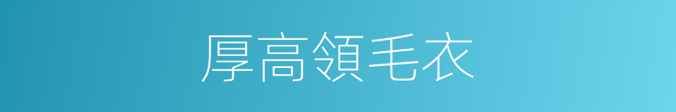 厚高領毛衣的同義詞