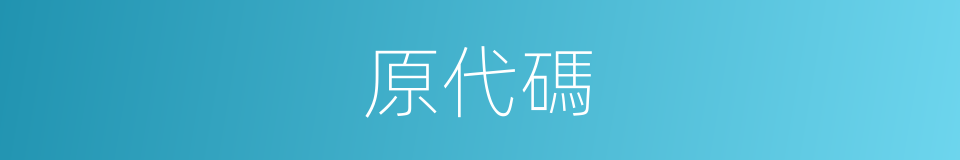 原代碼的同義詞