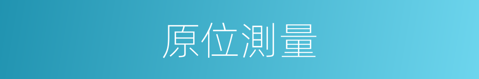 原位測量的同義詞