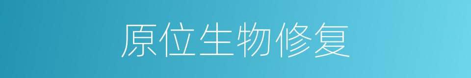 原位生物修复的同义词
