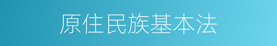 原住民族基本法的同义词