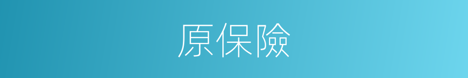 原保險的同義詞