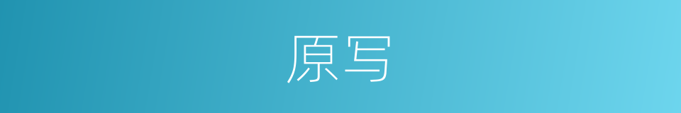 原写的同义词