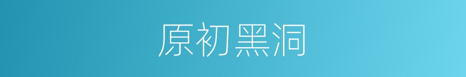 原初黑洞的同义词