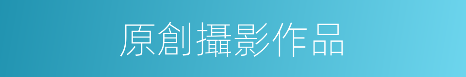 原創攝影作品的同義詞