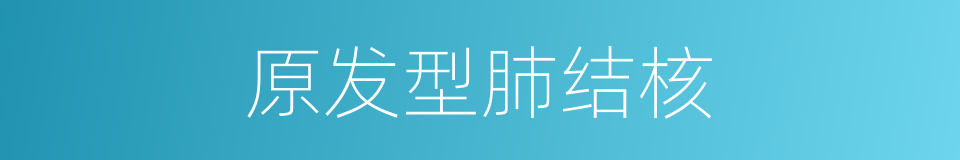 原发型肺结核的同义词