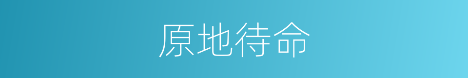 原地待命的同义词