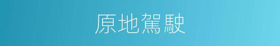 原地駕駛的同義詞