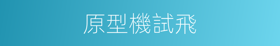 原型機試飛的同義詞
