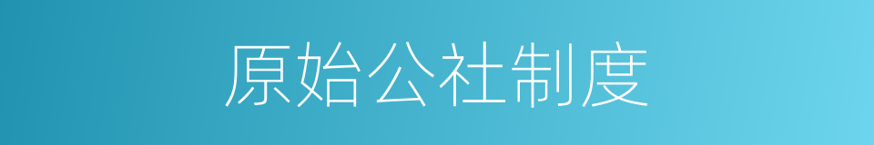 原始公社制度的同义词