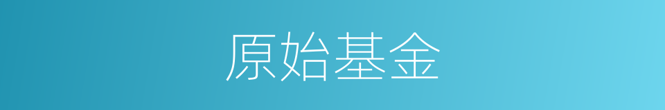 原始基金的同义词