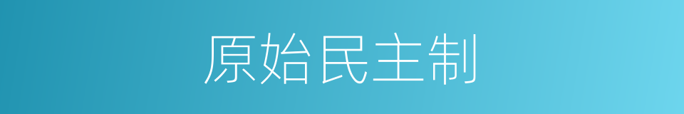 原始民主制的同义词