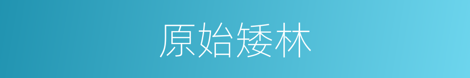 原始矮林的同义词