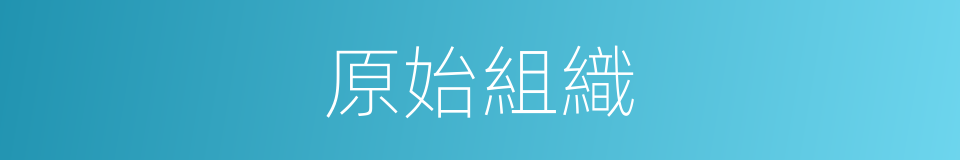 原始組織的同義詞