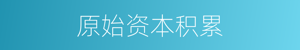 原始资本积累的同义词