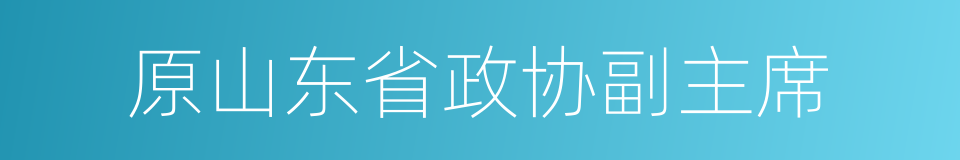 原山东省政协副主席的同义词