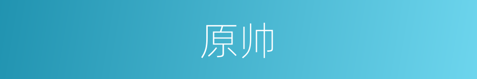 原帅的同义词