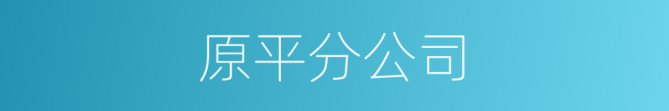 原平分公司的同义词