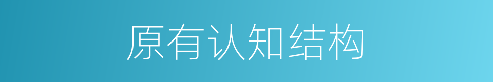 原有认知结构的同义词