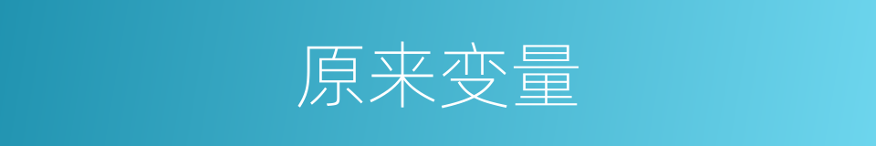 原来变量的同义词