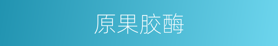 原果胶酶的同义词