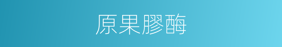 原果膠酶的同義詞