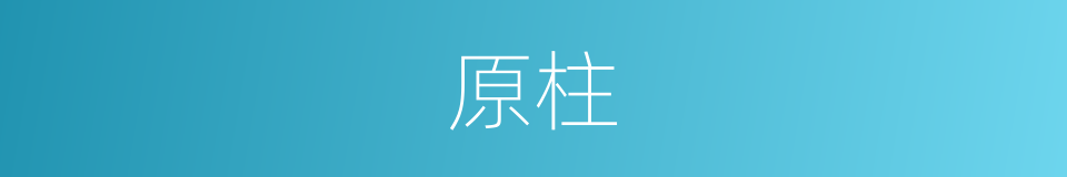 原柱的同义词