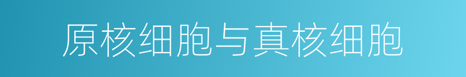 原核细胞与真核细胞的同义词