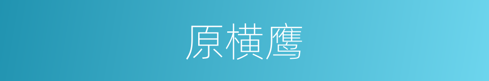 原横鹰的同义词