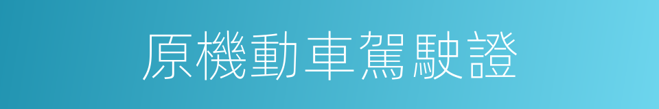 原機動車駕駛證的同義詞