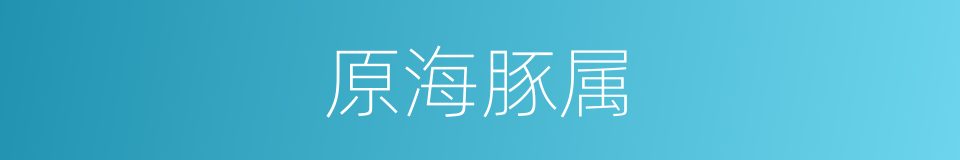 原海豚属的同义词