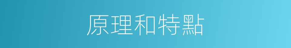 原理和特點的同義詞