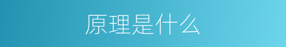 原理是什么的意思