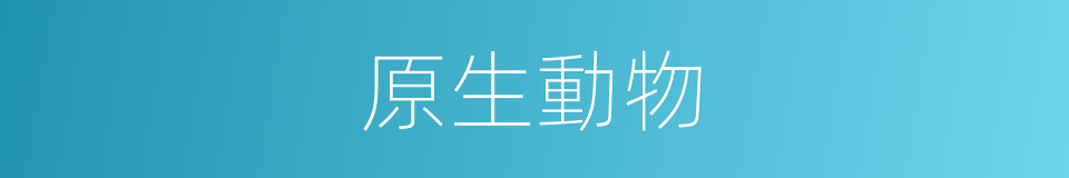 原生動物的意思
